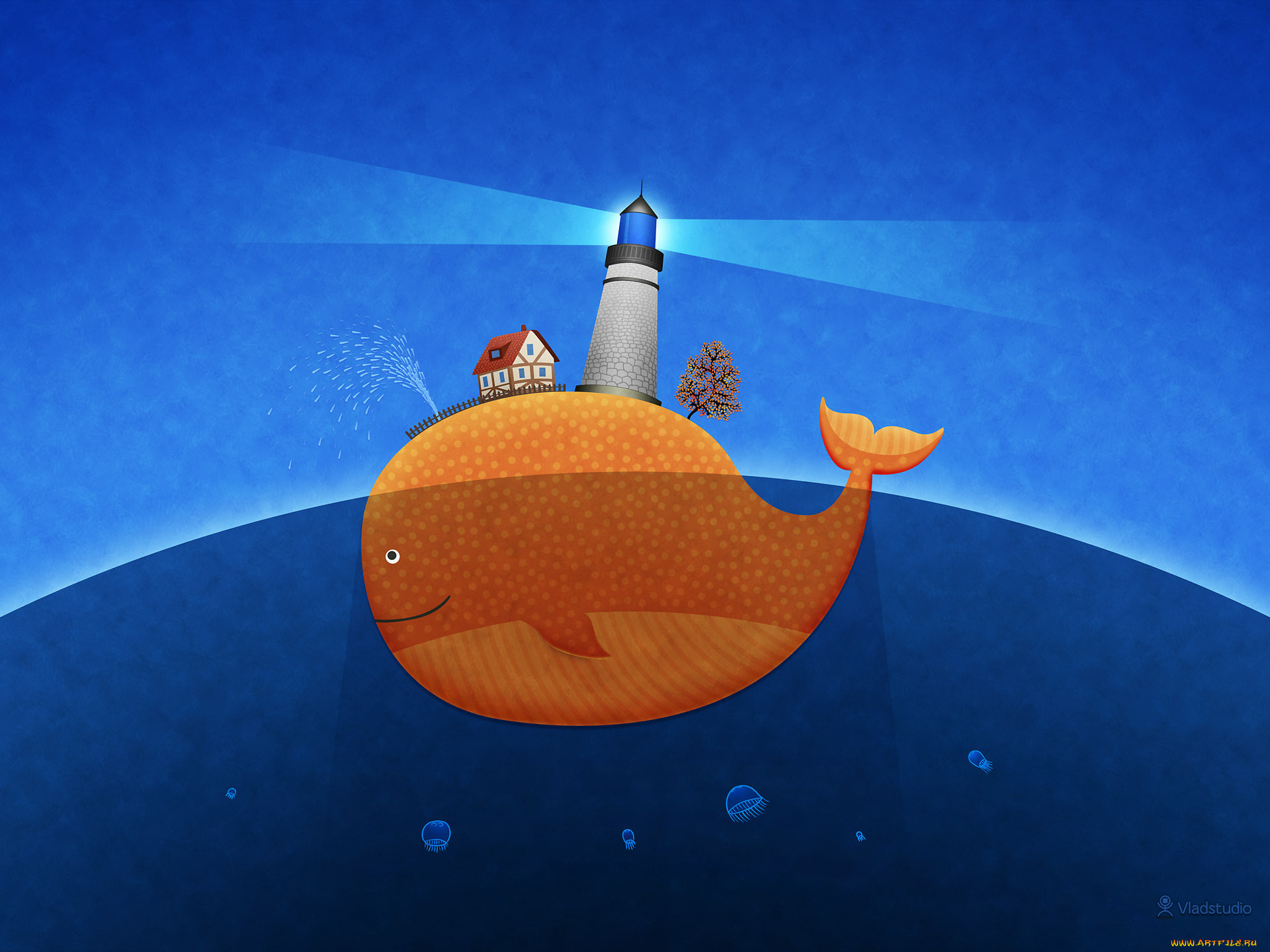 , vladstudio